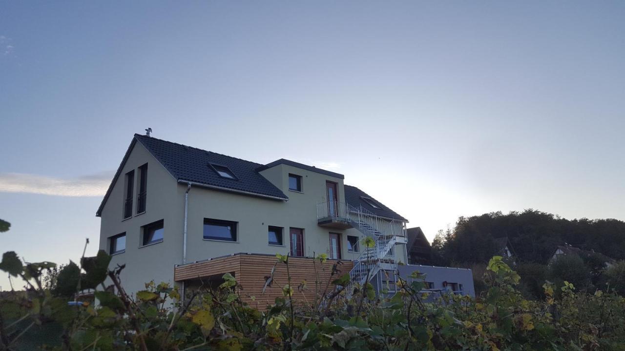 Gaestehaus Casa Luna - Paradiesische Ferienwohnungen Am Kaiserstuhl! Bischoffingen Экстерьер фото