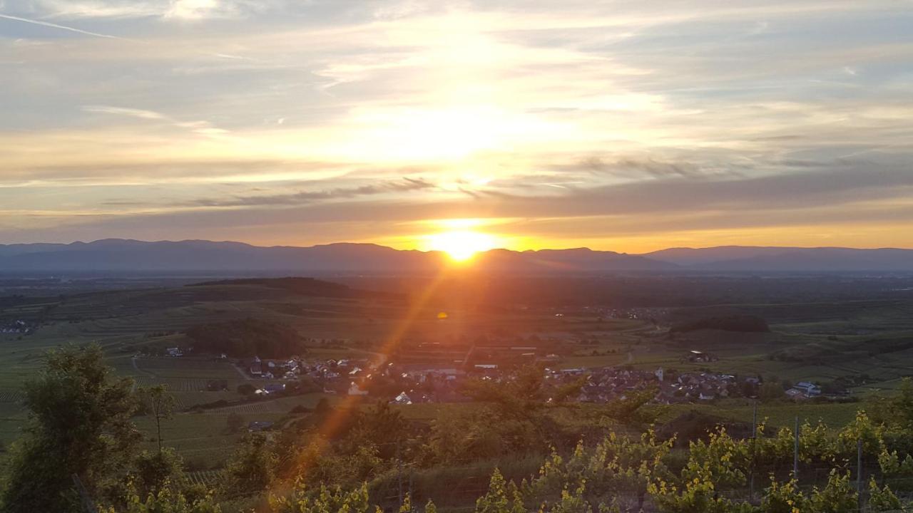 Gaestehaus Casa Luna - Paradiesische Ferienwohnungen Am Kaiserstuhl! Bischoffingen Экстерьер фото