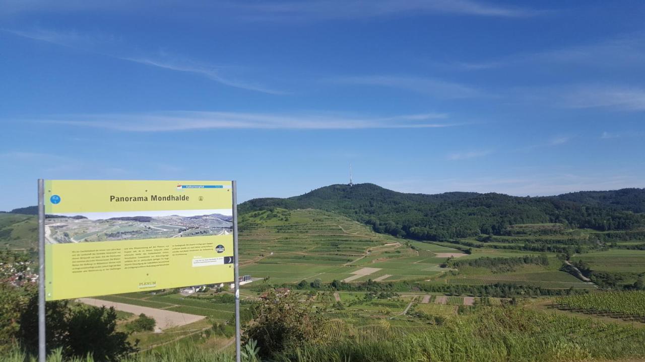 Gaestehaus Casa Luna - Paradiesische Ferienwohnungen Am Kaiserstuhl! Bischoffingen Экстерьер фото