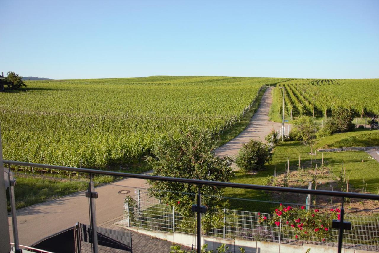 Gaestehaus Casa Luna - Paradiesische Ferienwohnungen Am Kaiserstuhl! Bischoffingen Экстерьер фото