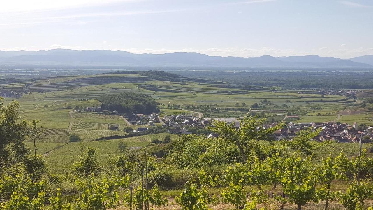 Gaestehaus Casa Luna - Paradiesische Ferienwohnungen Am Kaiserstuhl! Bischoffingen Экстерьер фото